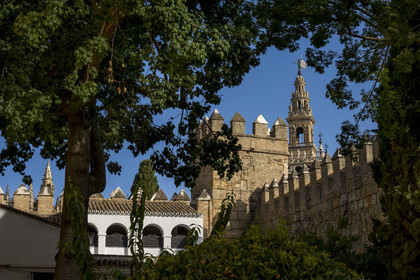 Spain, Andalusia, Seville, the Alcazar of Seville (Reales Alcazares de Sevilla), listed as World Heritage by UNESCO, the ramparts and the Giralda in the background
