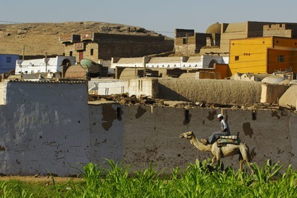 Egypt, Upper Egypt, Nubia, Nile Valley, Aswan, west bank, nubian village and  a young boy riding his dromedary