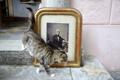 France, Haute-Corse (2B), Cap Corse, Sisco, le palais Gaspari-Ramelli (Palazzi ou Maison d'Americain), portrait du docteur Santos (Toussaint) Gaspari