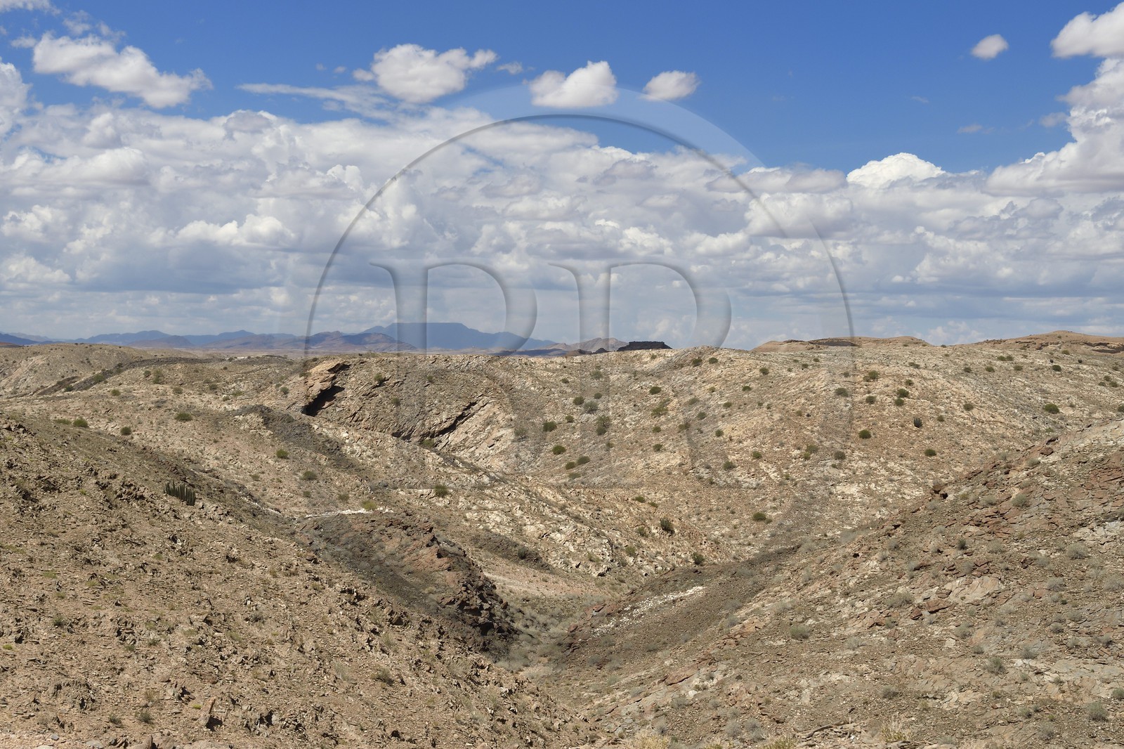 Namibie, région de Erongo, parc national Namib Naukluft, désert du Namib, montagnes du Kuiseb Pass