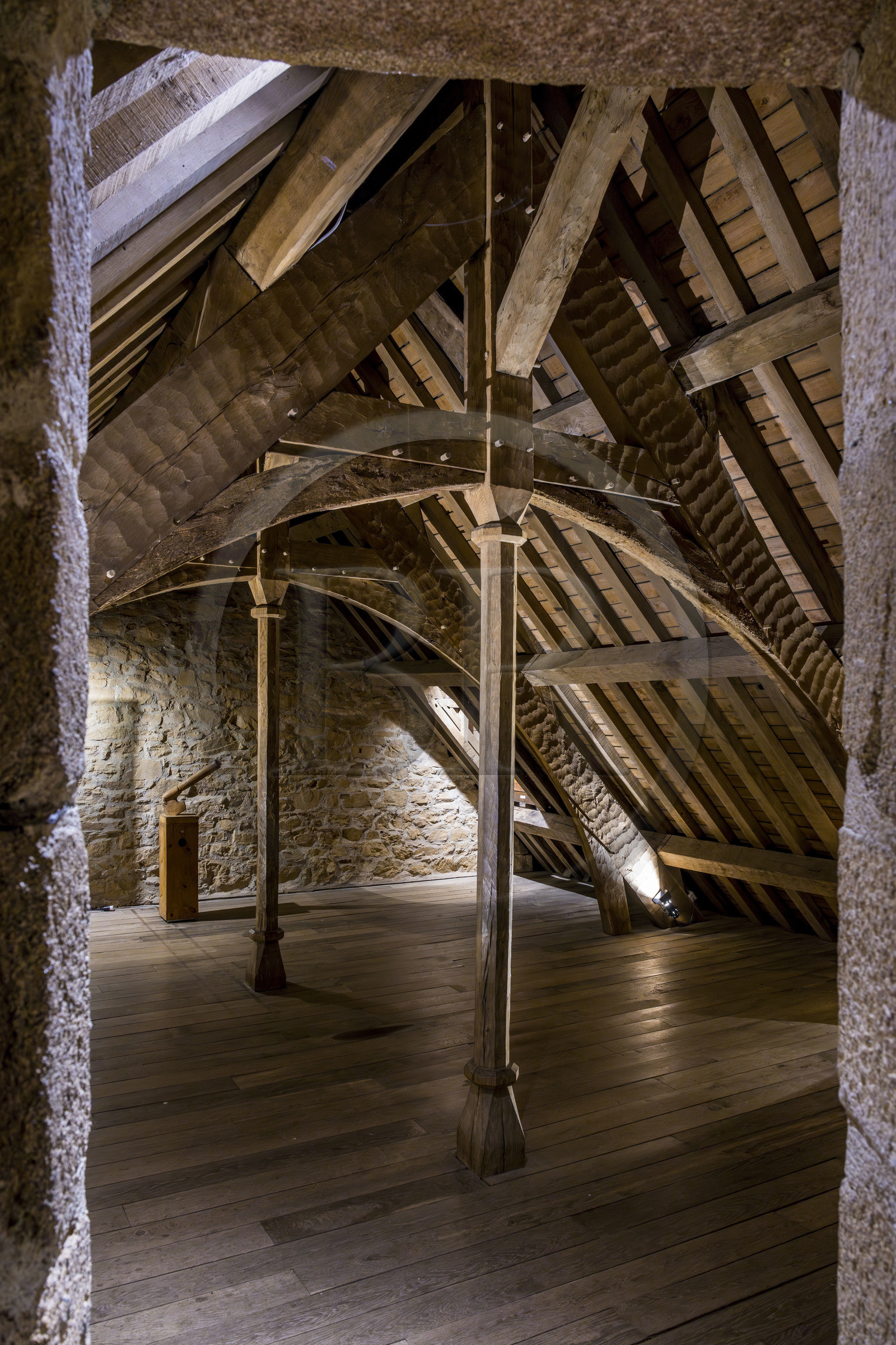 France, Côtes d'Armor (22), Ploezal, chateau de la Roche-Jagu construit au XVème siècle, charpente d'origine datant de la construction