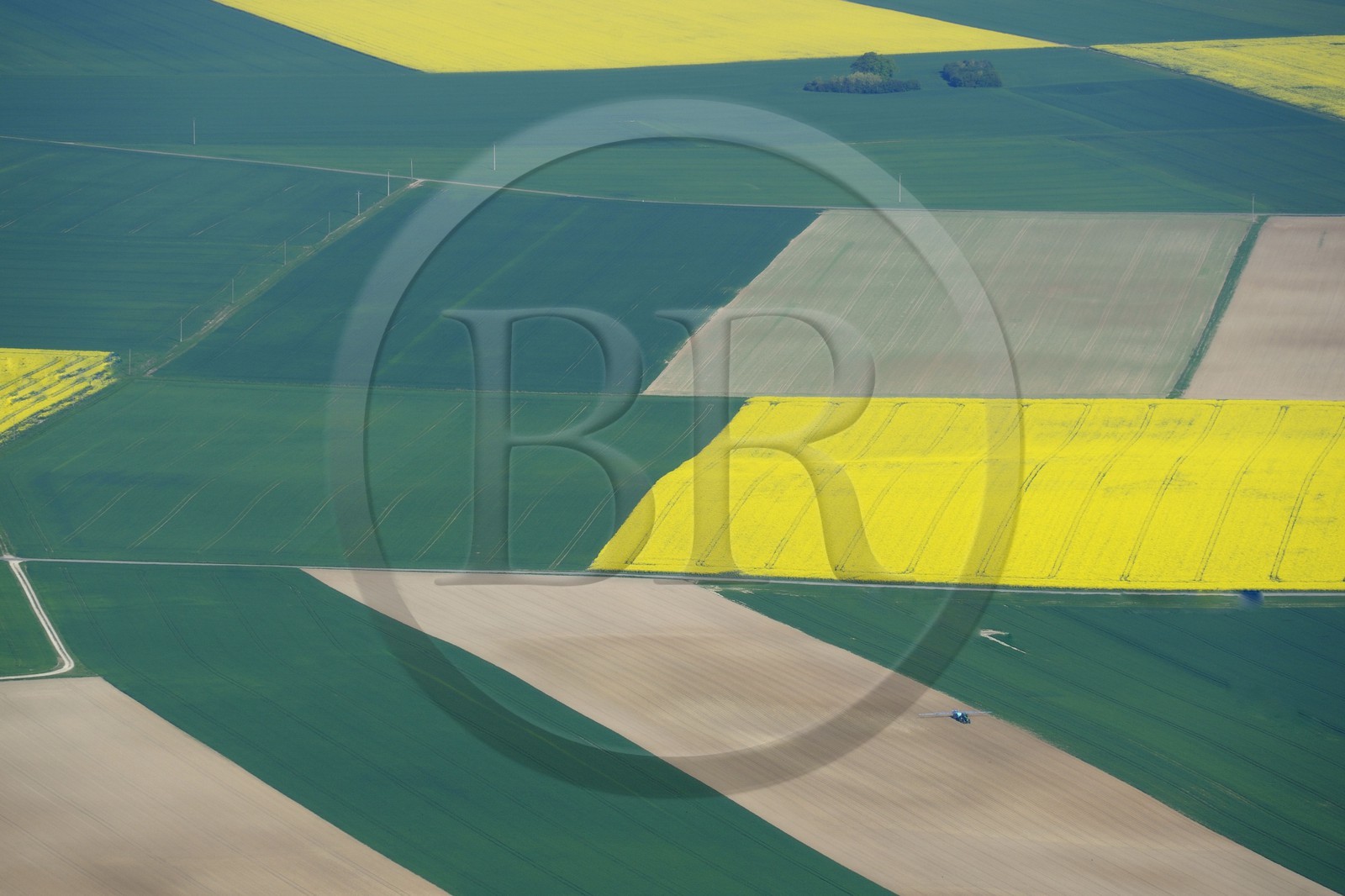France, Val-d'Oise (95), champ de colza en fleurs (vue aérienne)