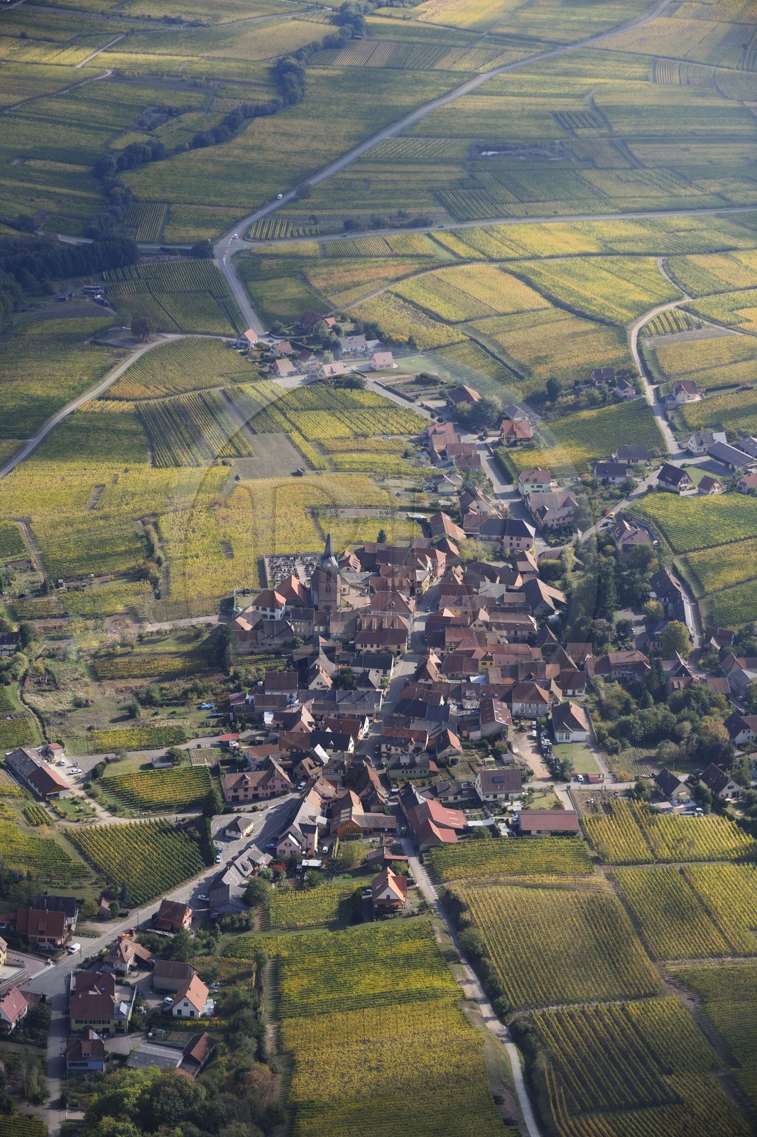 France, Haut Rhin, village surrounded by its vineyard(aerial view)