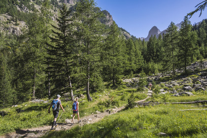 France, Alpes-Maritimes (06), parc national du Mercantour, Haute-Vésubie, Saint-Martin-Vésubie, Val du Haut Boréon, randonnée sur le GR 52 vers le refuge de Cougourde, le sommet frontalier du Caïres de Cougourde (2892m) en arrière plan