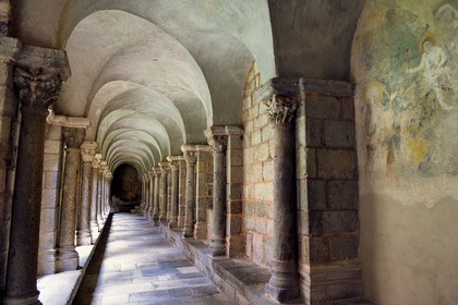 France, Haute-Loire (43), Le Puy-en-Velay, étape des chemins de Compostelle, la cathédrale Notre-Dame-de-l'Annonciation du XIIe siècle classée Patrimoine Mondial de l'UNESCO, le cloitre