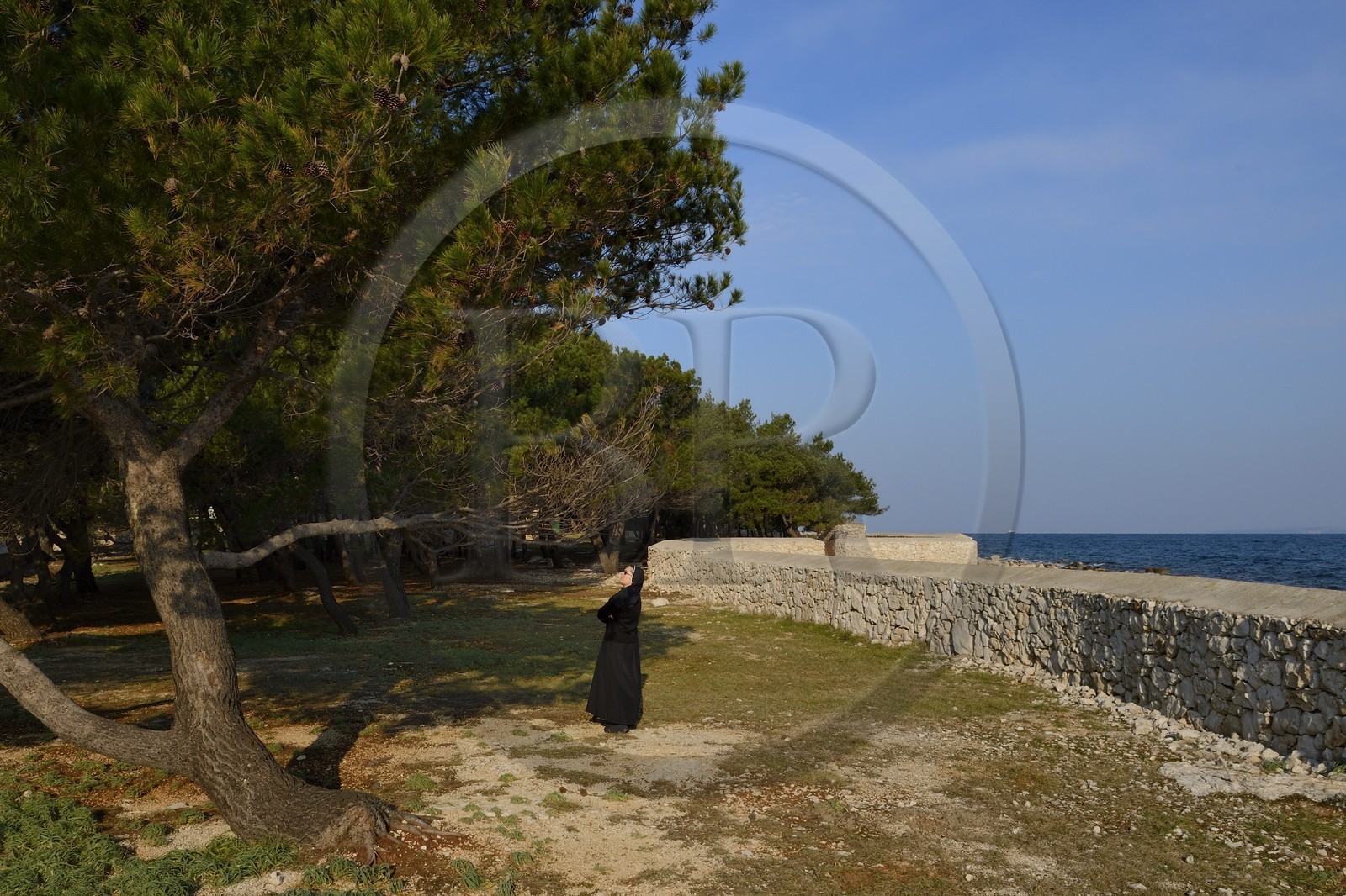 Croatie, Dalmatie, côte dalmate, Ile d’Ugljan, couvent franciscain Saint-Jérôme de la congrégation des Filles de la Miséricorde, sœur Theresija dans le jardin en bordure de mer