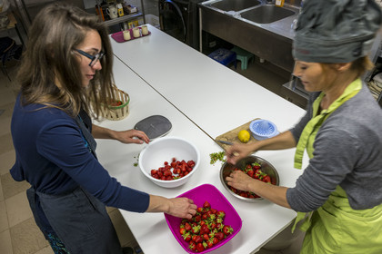 France, Vaucluse (84), Sarrians, Domaine de l'Oiselet, préparation d'un sorbet de fraises maison