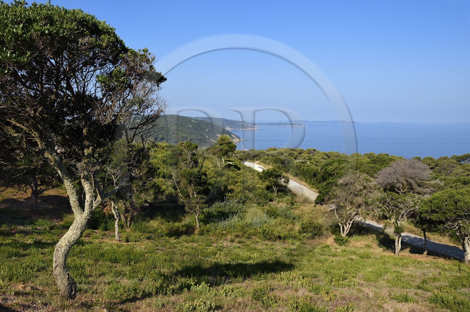 France, Var (83), Iles d'Hyères, Parc national de Port Cros, Ile du Levant, route de la zone militaire, l'Ile de Port Cros et de Porquerolles en arrière plan
