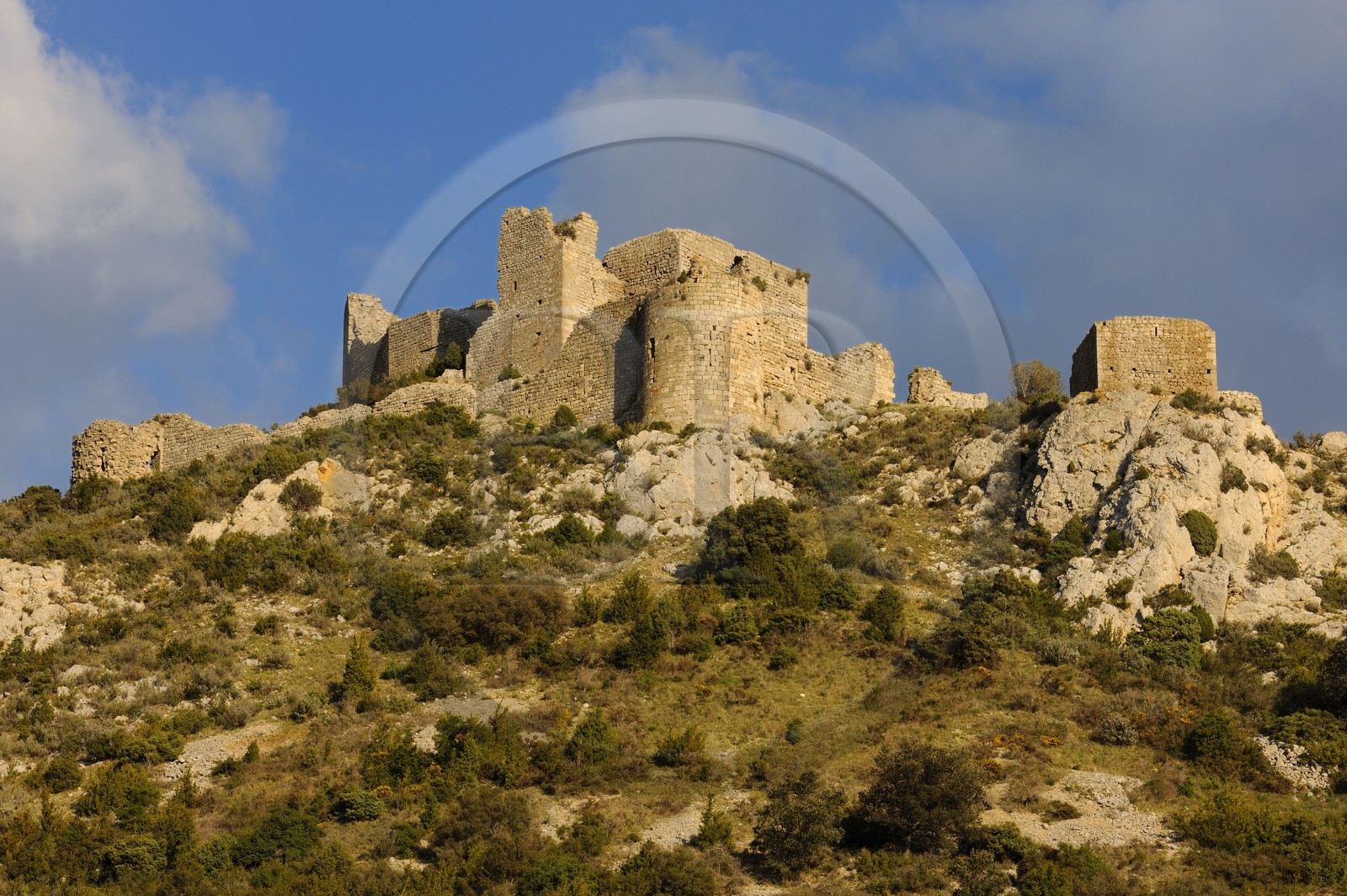 France, Aude (11), ruines du château cathare d’Aguillar dans les Corbières