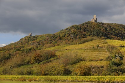France, Bas-Rhin (67), châteaux de Ramstein à gauche et Ortenbourg à droite