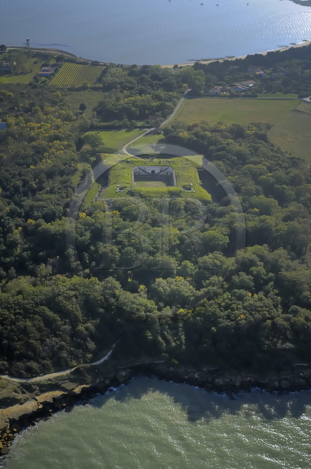 France, Charente-Maritime (17), Ile d'Aix, le Fort Liedot (vue aérienne)