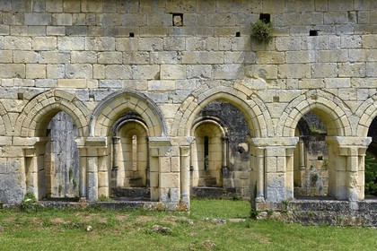 France, Dordogne (24), Périgord Vert, Villars, abbaye cistercienne de Boschaud du 12ème siècle qui dépendait de l'abbaye de Clairvaux, emplacement du cloitre