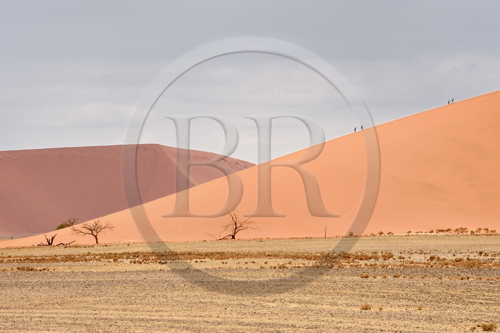 Namibia, Hardap region, Namib desert, Namib-Naukluft national park, Namib Sand Sea listed as World Heritage by UNESCO, Sossusvlei dunes, hikers on the dune 45