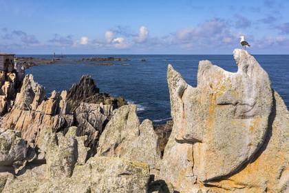 France, Finistère (29), Mer d'Iroise, Ile d'Ouessant, rochers façonnés par les tempêtes au pied du phare du Créac’h, certains ont des formes originales ici le Roi Gradlon (vue aérienne)