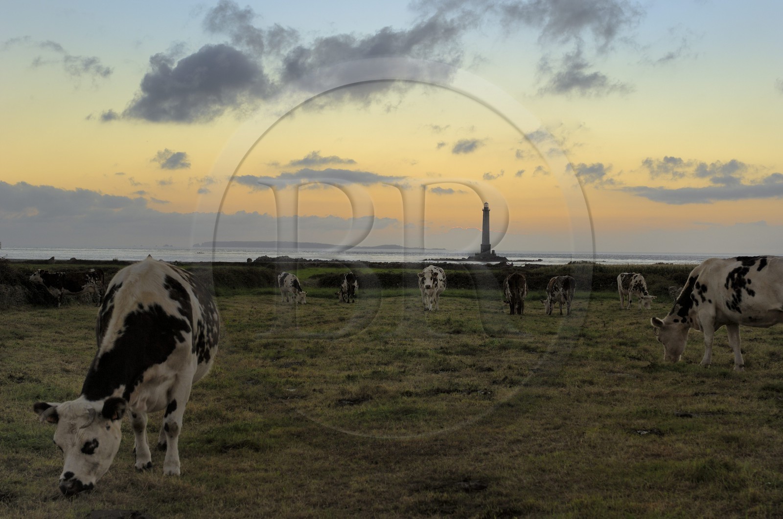 France, Manche (50), Cap de la Hague, le phare du petit port de Goury