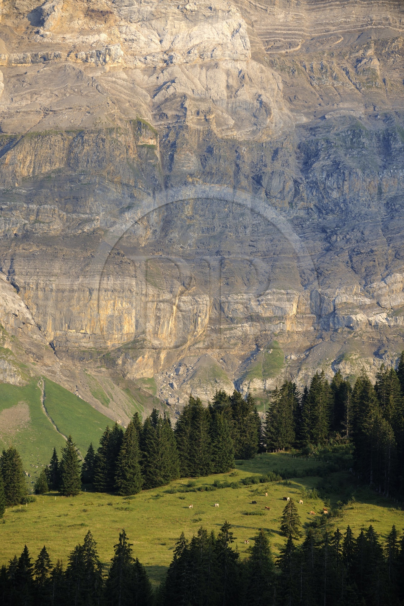 Switzerland, canton of Vaud, Les Diablerets at Col de la Croix