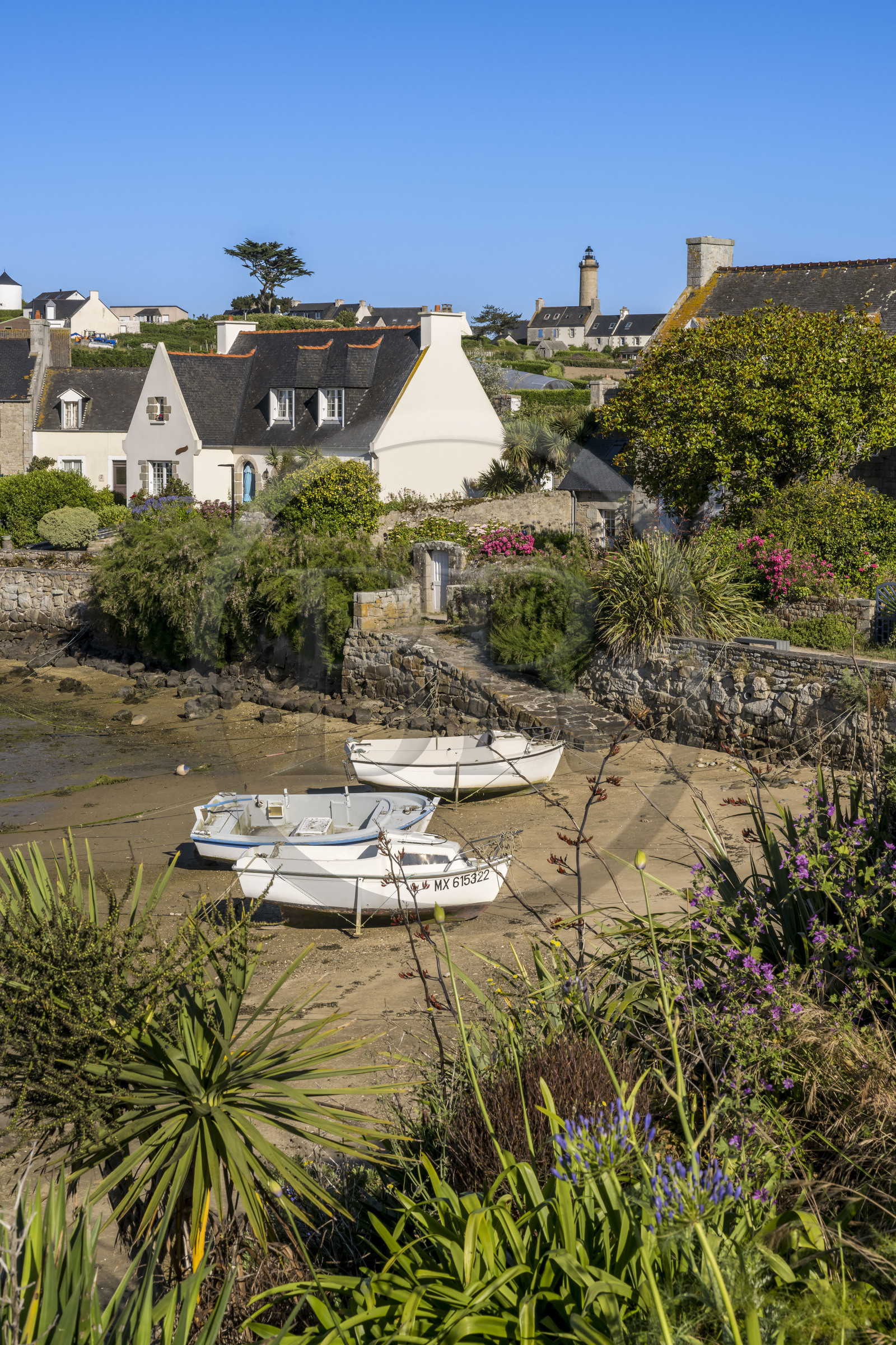 France, Finistère (29), Iles du Ponant, Ile de Batz, Porz an Eog, ancien port des goélettes et maisons d'armateurs dans le Bourg, le phare en arrière plan