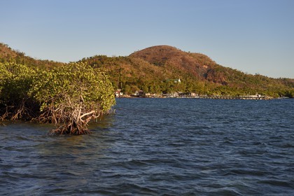 Philippines, Calamian Islands dans le nord de Palawan, Uson Island dans la baie de Coron, la mangrove aux abords du village de Barangay Lajala,
