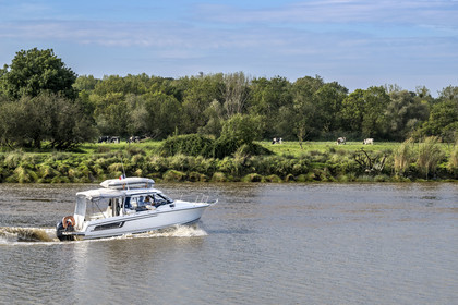 France, Loire-Atlantique (44), Saint-Jean-de-Boiseau, bateau descendant la Loire, vaches au pré sur la rive en arrière plan