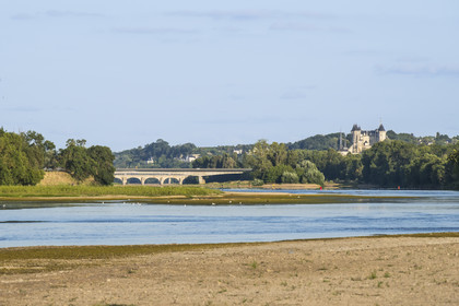 France, Maine-et-Loire, Loire valley listed as World Heritage by UNESCO, sandbanks forming islands on the Loire and Saumur castle in the background