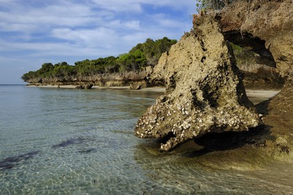 Tanzanie, archipel de Zanzibar, île de Unguja (Zanzibar), côte ouest, réserve naturelle de Chumbe Island Coral Park