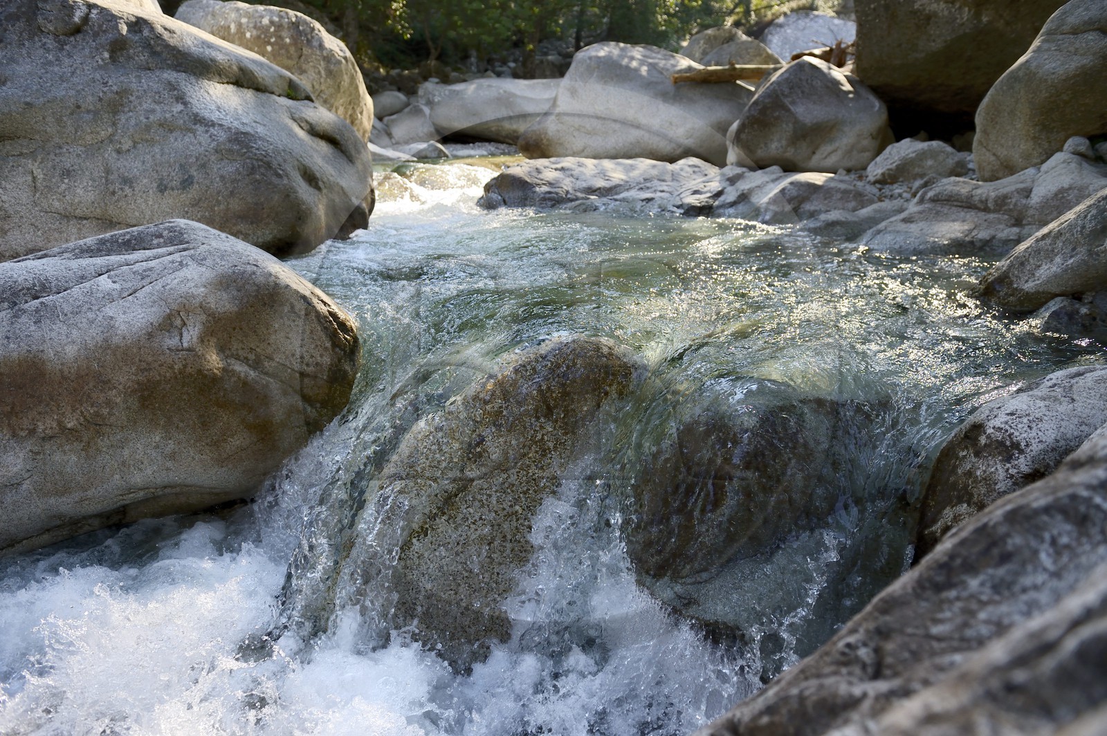 France, Haute-Corse (2B), Corte, Vallée de la Restonica