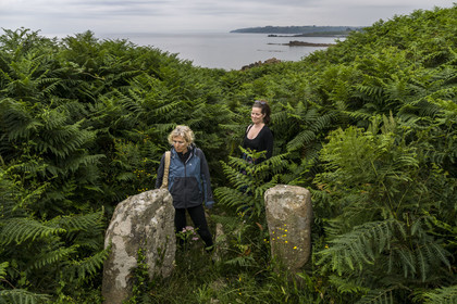 France, Finistère, Plougasnou, Primel-Trégastel, Pointe de Primel at the end of Morlaix Bay, remains of a gallery grave under giant ferns on the GR 34 hiking trail