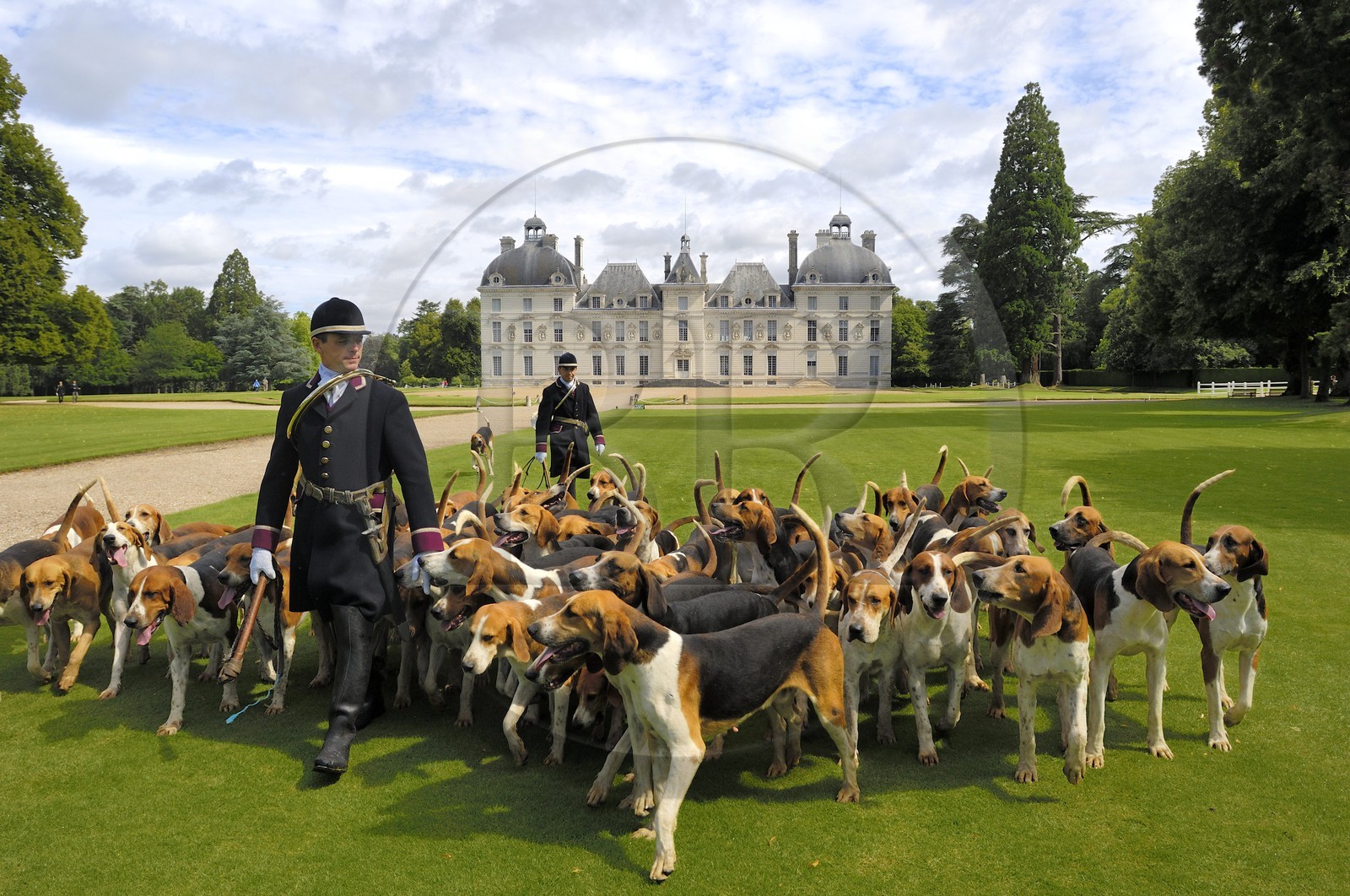 France, Loir-et-Cher (41), château de Cheverny, les piqueux Vol au Vent et La Rosée qui gèrent la meute de 90 chiens de chasse à cour