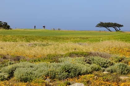 United States, California, 17 Mile Drive, golf at Spanish Bay
