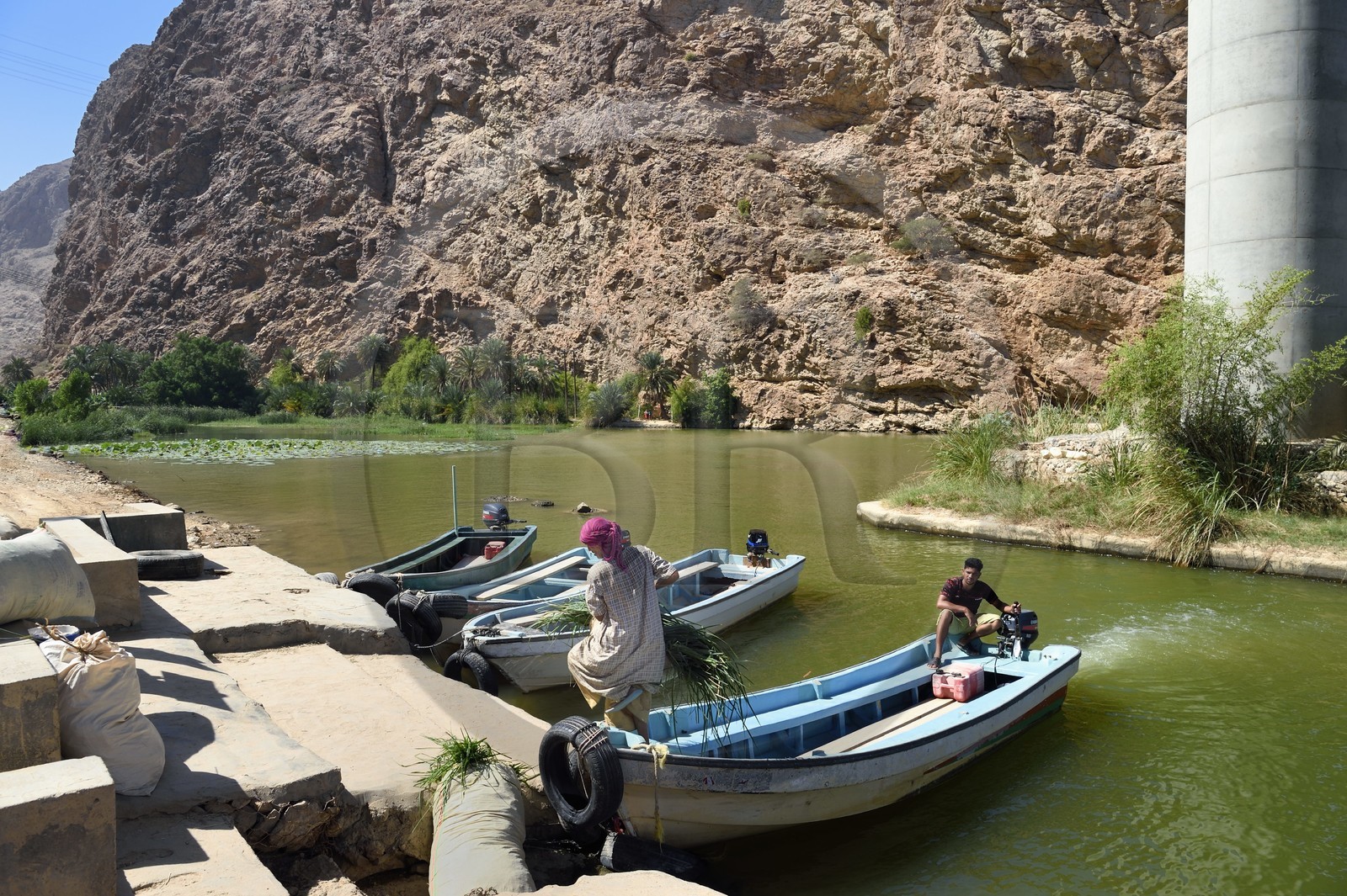 Sultanat d'Oman, région d'Ash Sharqiyah, Tiwi, un paysan traverse le Wadi ash Shab