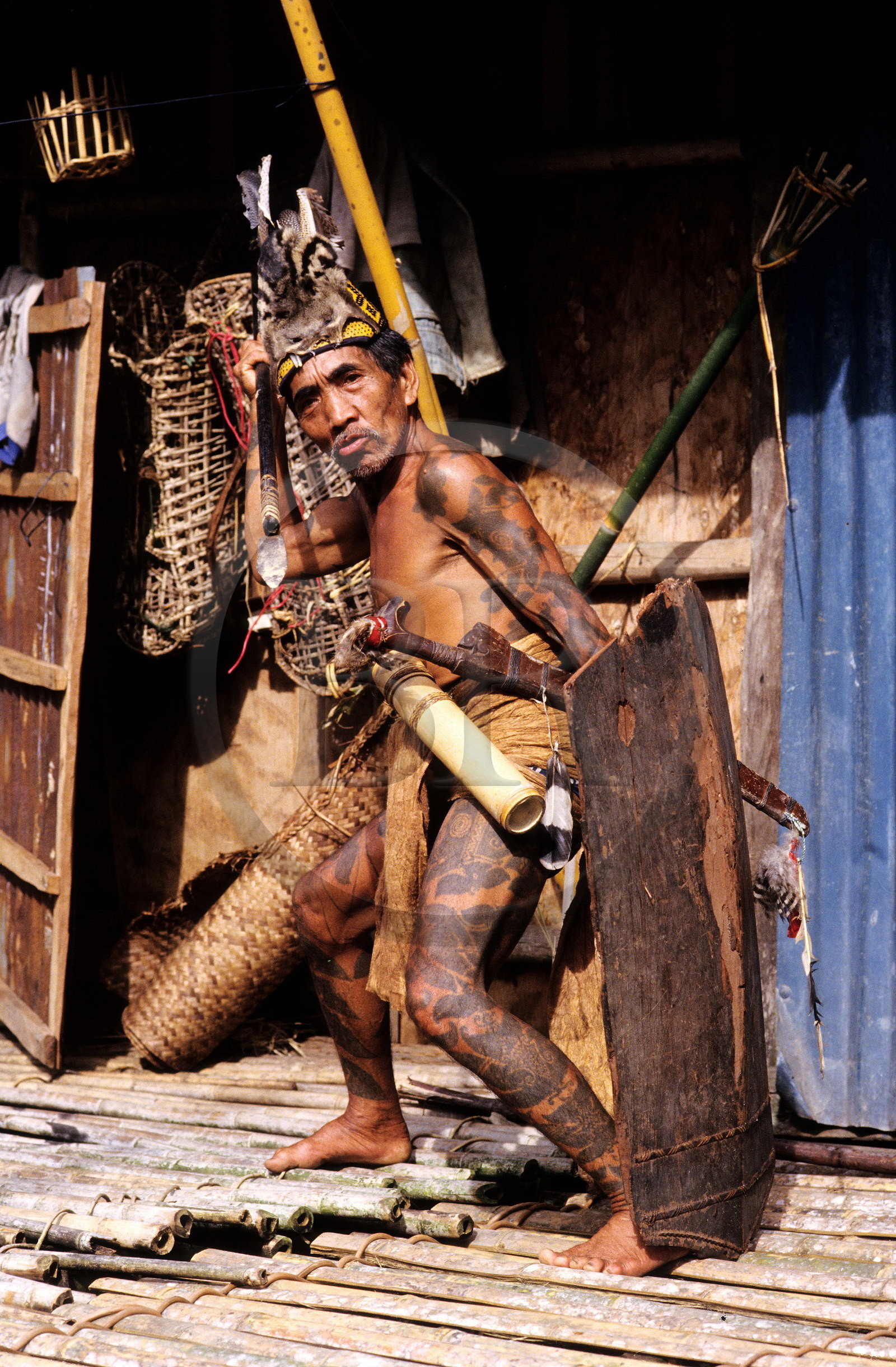 Malaisie, île de Bornéo, Sarawak, guerrier dayak (tatoué) de la tribu des Iban avec lance, parang (sabre) et bouclier