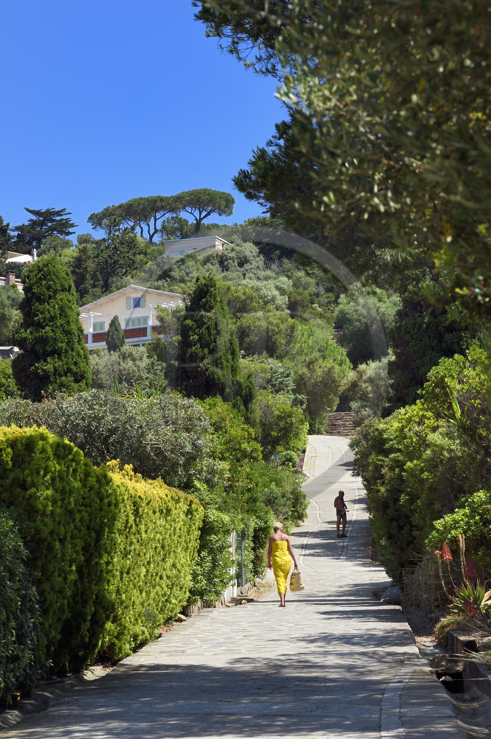 France, Var (83), Iles d'Hyères, Parc national de Port Cros, Ile du Levant, domaine naturiste d'Héliopolis, chemin de la Perspective, l'axe central du village
