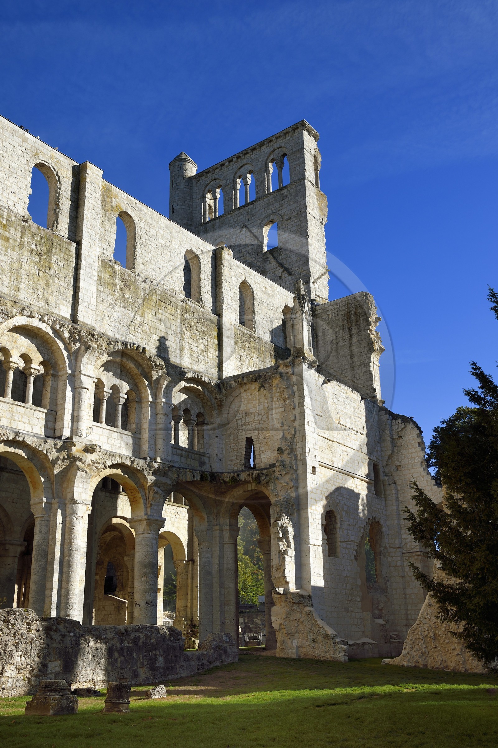 France, Seine-Maritime, France, Seine Maritime, Pays de Caux, Norman Seine River Meanders Regional Nature Park, Jumieges, abbey of Saint Pierre de Jumieges founded in the 7th century