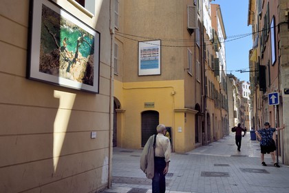 France, Var (83), Toulon, quartier du petit Chicago à l'angle rue des savonnières et rue Pierre Semard alias la rue des Arts, exposition de photographies de Daragh Soden dans la rue