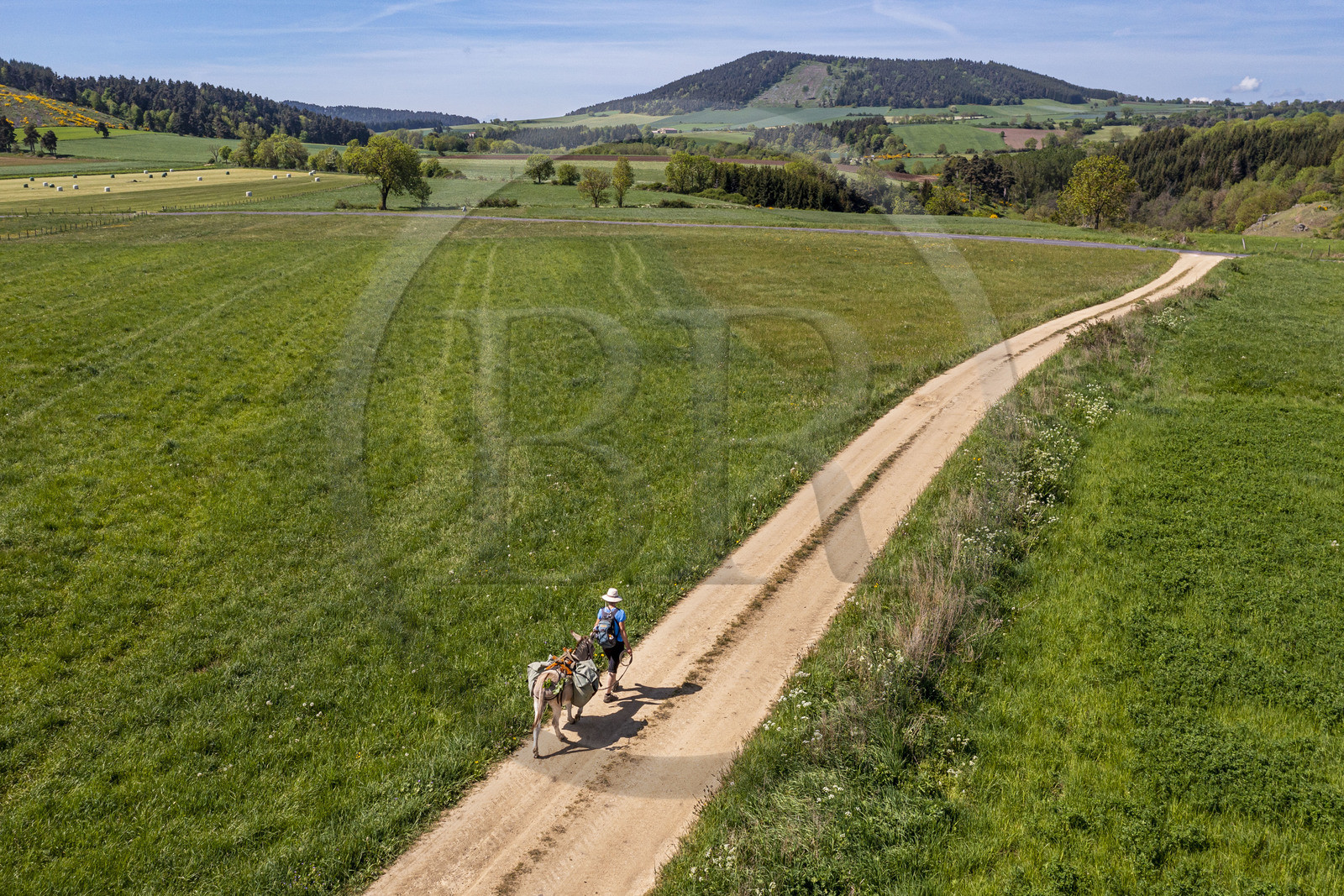 France, Haute-Loire (43), randonnée avec un âne sur le chemin de Stevenson (GR 70) entre Goudet et Ussel (vue aérienne)