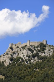 France, Aude (11), château cathare de Puilaurens