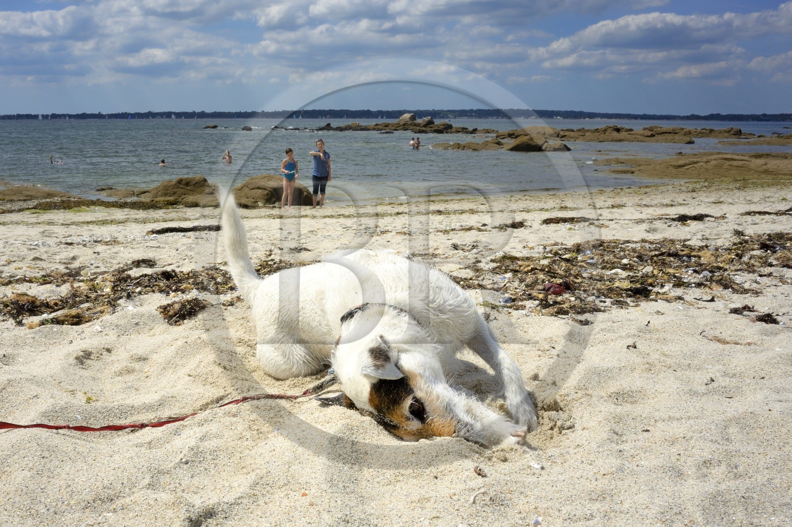 France, Finistère (29), Concarneau, plage de la Corniche