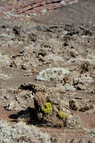 France, île de la Réunion, volcan du Piton de la Fournaise, classé Patrimoine Mondial de l'UNESCO, la Plaine des Sables