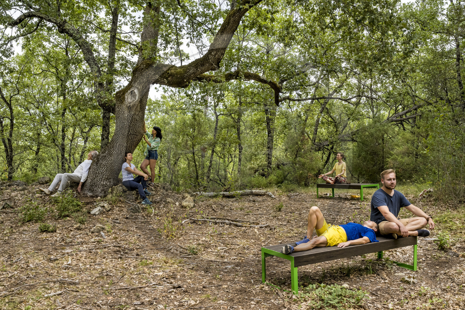 France, Var (83), Provence Verte, Bras, Académie du Bain de Forêt Provençale, forêt du domaine Le Peyrourier - une campagne en Provence, Constanze Coisne guide le Shinrin Yoku