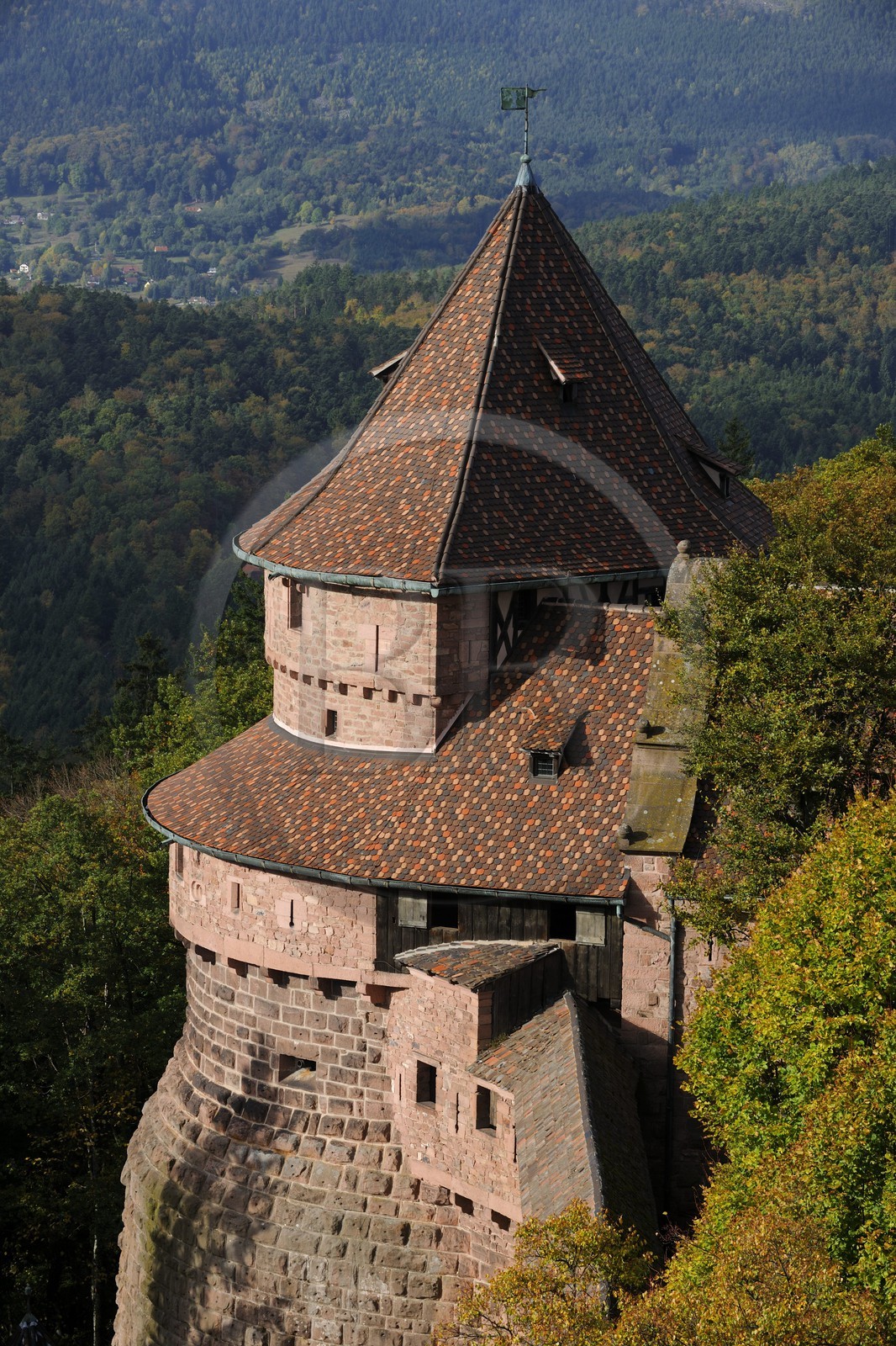 France, Bas-Rhin (67), le château du Haut-Koenigsbourg, le Grand Bastion surplombant la forêt alentours