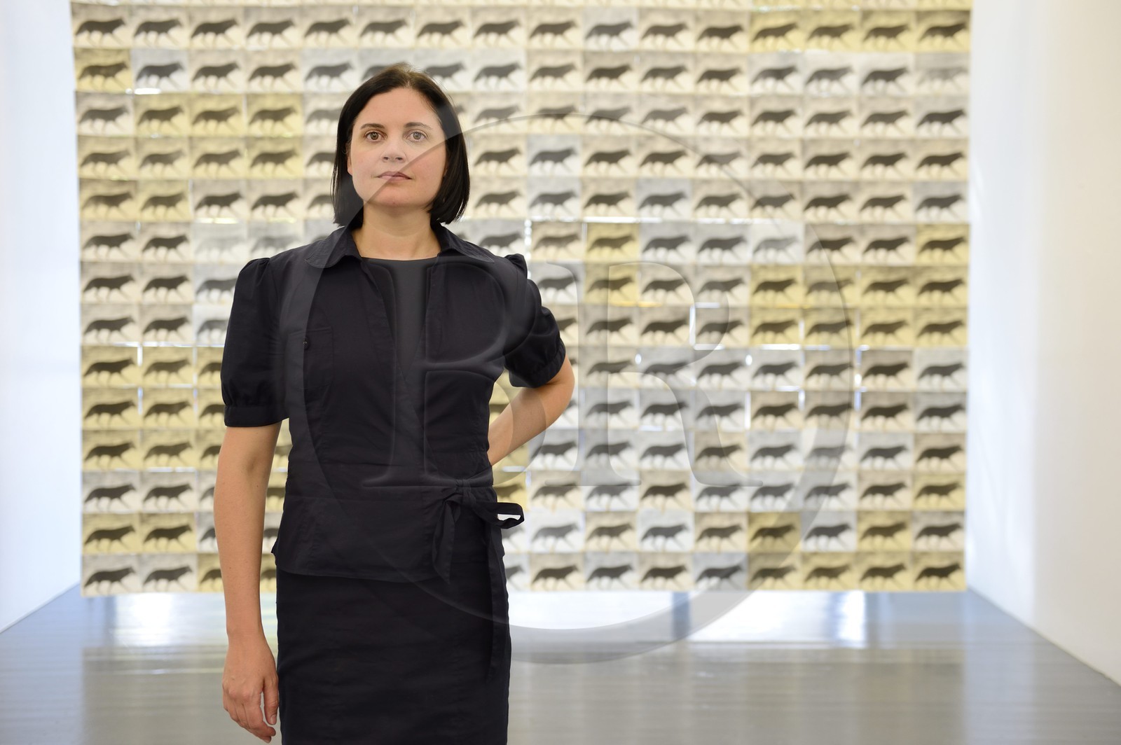 South Africa, Gauteng Province, Johannesburg, the 44 Stanley site was once a series of industrial 1930′s buildings and has been developed into a collection of speciality boutiques, foodie stops and design studios, the art Gallery AOP, the artist Fiona Pole in front of her work Wolf at the Door (2014)