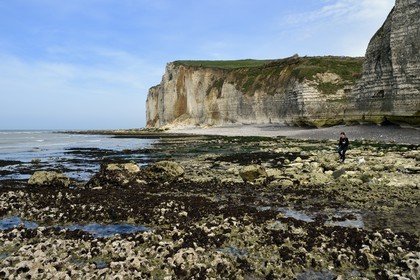 France, Seine-Maritime (76), Pays de Caux, Côte d'Albâtre, entre Etretat et Yport, la falaise vers Bénouville et la plage à marée basse