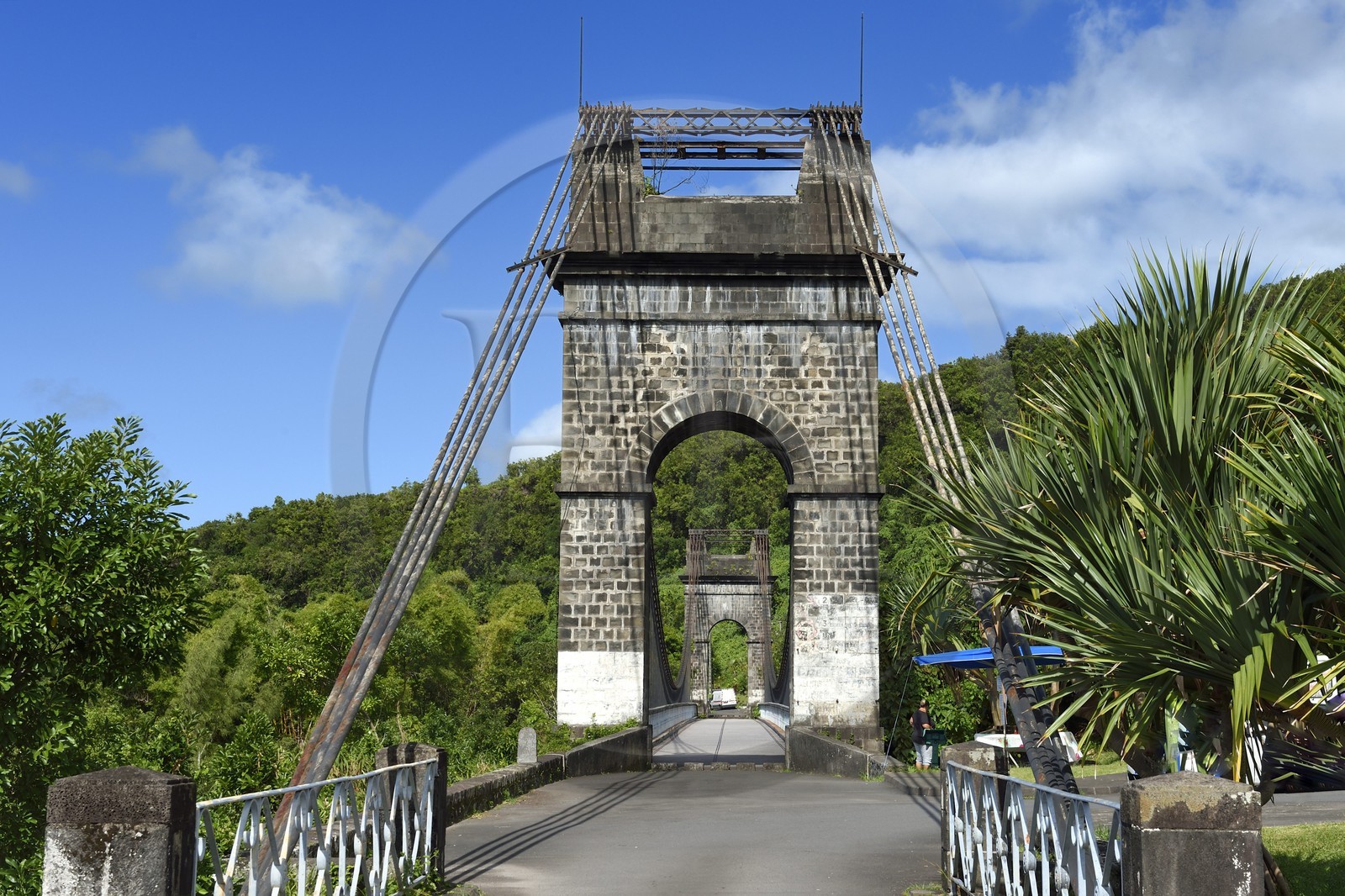 France, Ile de la Reunion, région de la Côte-au-vent, Sainte-Rose, pont suspendu de la rivière de l'Est