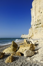 France, Seine-Maritime (76), Pays de Caux, Côte d'Albâtre, Etretat, la falaise d'Amont
