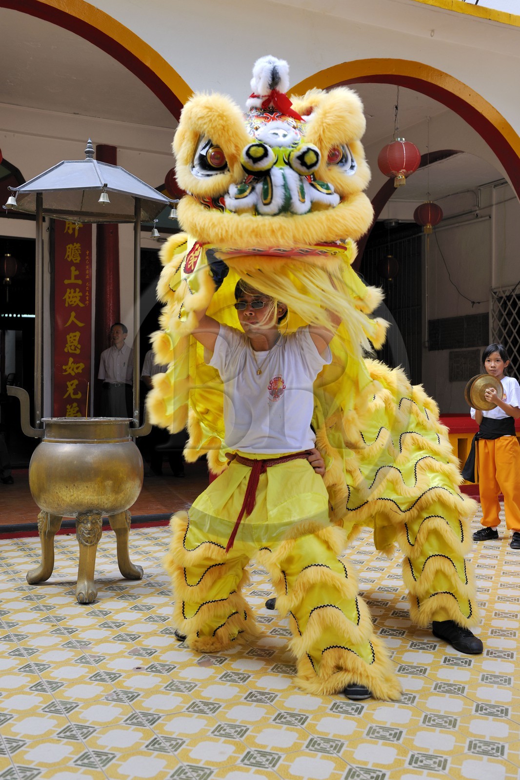 France, Reunion island (French overseas department), Saint-Pierre, traditional dragon danse for the chinese new year celebrations in a temple