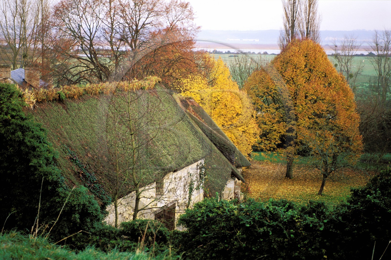 France, Eure, Marais (marsh) Vernier, traditional thatched roof house