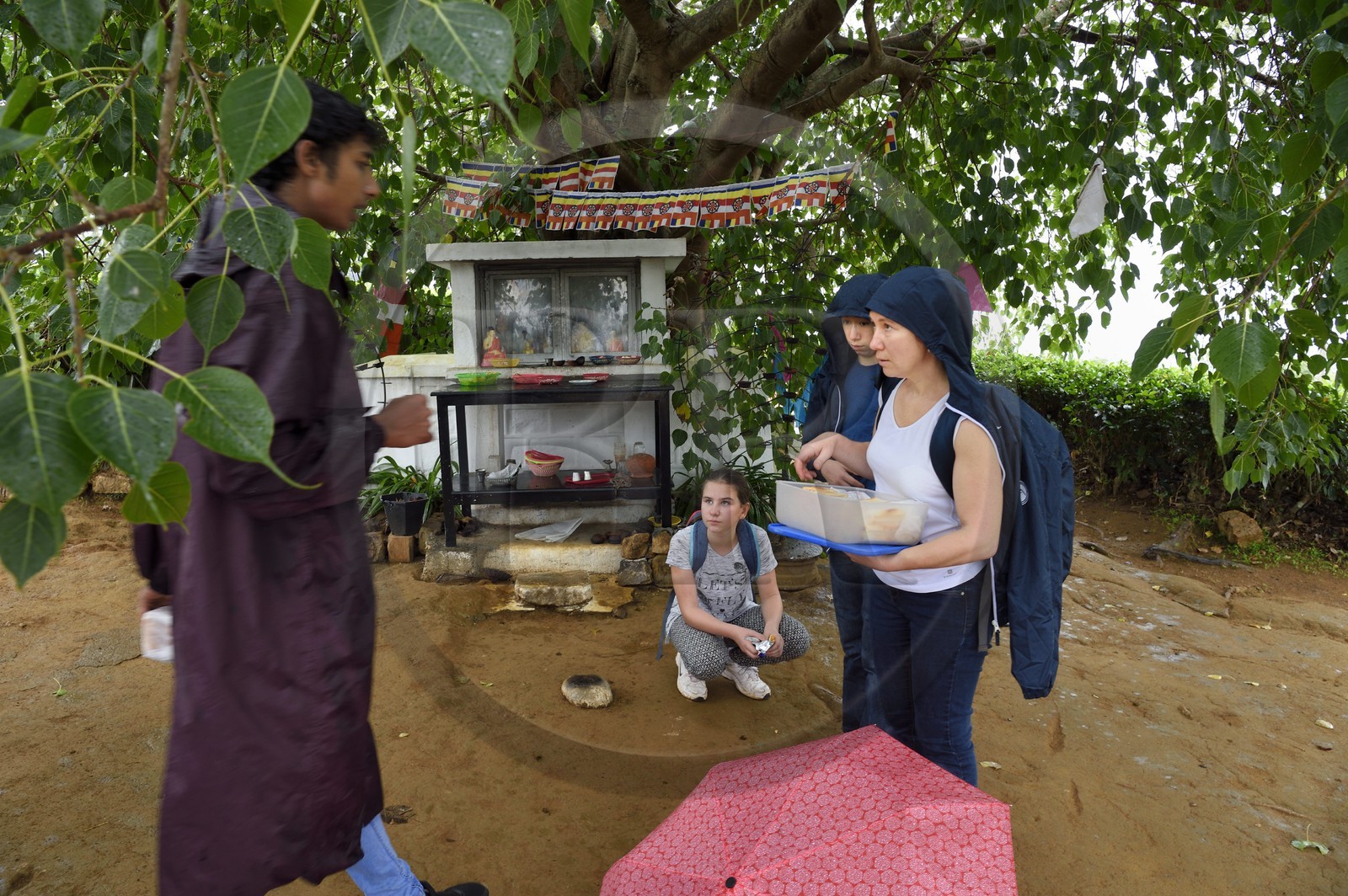 Sri Lanka, Province d'Uva, Bandarawela, promenade dans une plantation de thé, petit temple bouddhiste