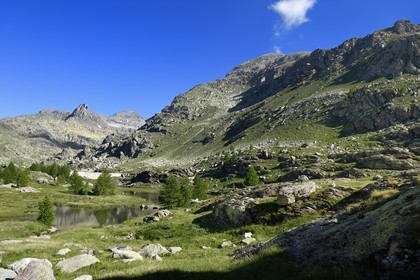 France, Alpes-Maritimes, parc national du Mercantour (Mercantour National Park), the Vallee des Merveilles (Valley of Wonders) scattered with thousands of rupestral engravings of the Bronze Age, lower Long Lake, the Mont des Merveilles (2720m) left and Mount Bego (2872m) on the right