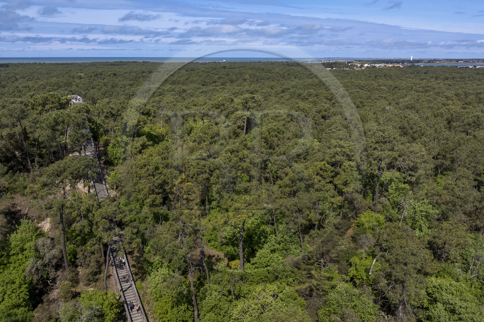 France, Vendée (85), La Barre-de-Monts, belvédère du Pey de la Blet, l'escalier dans le ciel au coeur de la forêt, le pont menant à l'Ile de Noirmoutier en arrière plan (vue aérienne)