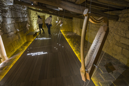 France, Vendée (85), Nieul-sur-l'Autise, Abbaye royale Saint-Vincent, salle des instruments anciens, harpe